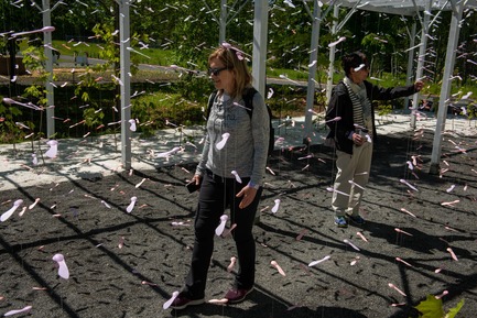 Press kit | 837-28 - Press release | The International Garden Festival Opens Its 19th Edition - International Garden Festival / Reford Gardens - Event + Exhibition - Les hélicoptères<br> - Photo credit: Martin Bond