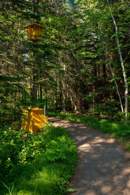 Press kit | 837-28 - Press release | The International Garden Festival Opens Its 19th Edition - International Garden Festival / Reford Gardens - Event + Exhibition - L'origine de la colonne - Photo credit: Martin Bond