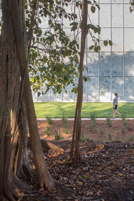 Press kit | 2353-02 - Press release | Innovative and Award-Winning Facade of USF-SP's Tiedemann College of Business Recalls Native Coral in Ecofriendly Envelope - ikon.5 architects - Institutional Architecture - exterior glass detail - Photo credit: Brad Feinknopf