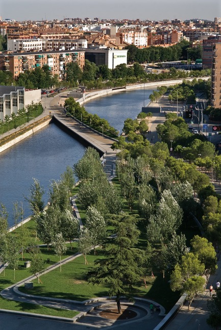 Press kit | 3076-01 - Press release | Madrid Rio. A New Urban Ecology - Burgos & Garrido; Porras La Casta; Rubio & A-Sala; West 8[Ginés Garrido, team director] - Landscape Architecture - Pine tree promenade  - Photo credit: Ana Müller