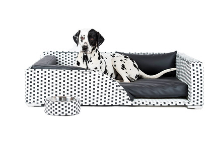 Press kit | 2438-01 - Press release | Swiss Start-Up Embellishes the Lives of Dogs and Owners - Volentis GmbH - Product - IDA Silver Award Winner - LABONI Dog Bed Cosmopolitan - Photo credit: Volentis GmbH<br>