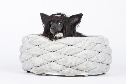 Press kit | 2438-01 - Press release | Swiss Start-Up Embellishes the Lives of Dogs and Owners - Volentis GmbH - Product - European Product Design Award Winner - LABONI Dog Bed RIVA<br> - Photo credit: Volentis GmbH<br>