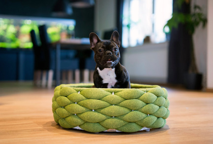 Press kit | 2438-01 - Press release | Swiss Start-Up Embellishes the Lives of Dogs and Owners - Volentis GmbH - Product - European Product Design Award Winner - LABONI Dog Bed RIVA - Photo credit: Volentis GmbH<br>