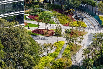 Press kit | 2657-01 - Press release | A Mata Atlântica Forest in São Paulo - Balmori Associates - Landscape Architecture - A display of a dozen different species of the local Ipê (Handroanthus spp.) at the main entrance plaza.     - Photo credit: Courtesy of Ana Mello