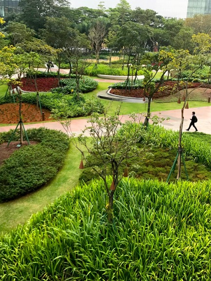 Press kit | 2657-01 - Press release | A Mata Atlântica Forest in São Paulo - Balmori Associates - Landscape Architecture -   End of the winter season 2017. The topographic garden of planted islands curates visual connections between the towers’ lobby and forest  - Photo credit: Courtesy of Balmori Associates