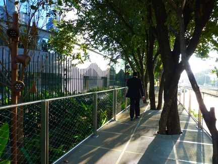 Press kit | 2657-01 - Press release | A Mata Atlântica Forest in São Paulo - Balmori Associates - Landscape Architecture -  The elevated perforated metal path transforms the narrow sidewalk into a unique experience of walking in the canopies of the trees.  - Photo credit: Courtesy of Balmori Associates