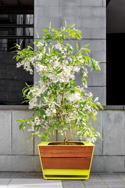 Press kit | 821-03 - Press release | The EXA Collection: An Outside-the-Box Approach to the Modular Cube - Equiparc / Marc BoudreauDesigner - Product - Planter EP 4050 - Photo credit: Drew Hadley