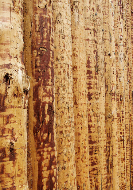 Press kit | 2341-01 - Press release | Torsby Finnskogscentrum - Bornstein Lyckefors arkitekter - Commercial Architecture - The timber is decorticated, untreated, cleaved in half, and mounted on a rack surrounding the building.  - Photo credit: Åke E:son Lindman