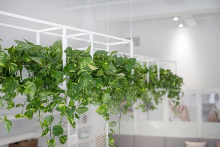 Press kit | 1332-02 - Press release | Montreal's Leading Destination for Nail Art, Le Manoir, Receives a Brand-New Look - Tuxedo - Commercial Interior Design - Photo credit: Maxime Brouillet