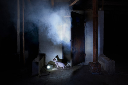 Press kit | 990-04 - Press release | KAYIWA’s CARAT LED Pendant Lamps Shine Bright Like a Diamond - KAYIWA - Lighting Design - CARAT LED Pendant Lamp by KAYIWA - Photo credit: KAYIWA