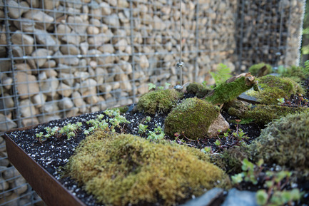 Press kit | 837-16 - Press release | Opening of the 17th International Garden Festival - International Garden Festival / Reford Gardens - Landscape Architecture -  LE CAVEAU by Christian Poules, Basel, Switzerlan   - Photo credit: Martin Bond