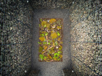 Press kit | 837-16 - Press release | Opening of the 17th International Garden Festival - International Garden Festival / Reford Gardens - Landscape Architecture -  LE CAVEAU by Christian Poules, Basel, Switzerlan   - Photo credit: Martin Bond