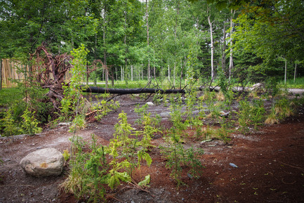 Press kit | 837-16 - Press release | Opening of the 17th International Garden Festival - International Garden Festival / Reford Gardens - Landscape Architecture -    Carbone by Coache Lacaille Paysagistes, Nantes, France      - Photo credit: Louise Tanguay