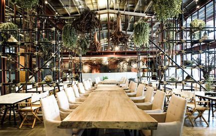 Press kit | 1972-01 - Press release | ‘Vivarium’ - A Tractor Warehouse Turned Restaurant by Hypothesis Won the INSIDE Award 2015 - Hypothesis - Commercial Interior Design - The main dining area - Photo credit:  Hypothesis 