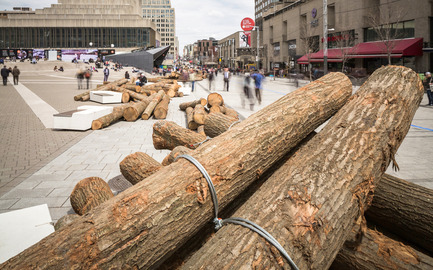 Press kit | 583-13 - Press release | 560 KM: A thousand logs on Sainte-Catherine Street - Quartier des spectacles Partnership - Urban Design - 560 KM by KANVA - Photo credit: Ulysse Lemerise / OSA Images
