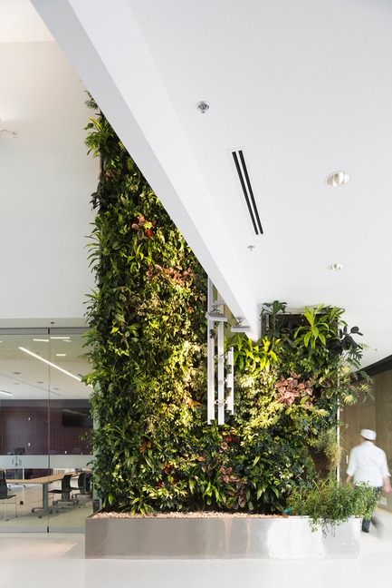 Press kit | 1866-01 - Press release | Durham College Centre for Food - Gow Hastings Architects - Institutional Architecture - A lush, green, two-storey herb garden living wall in the central atrium - Photo credit: Remi Carreiro