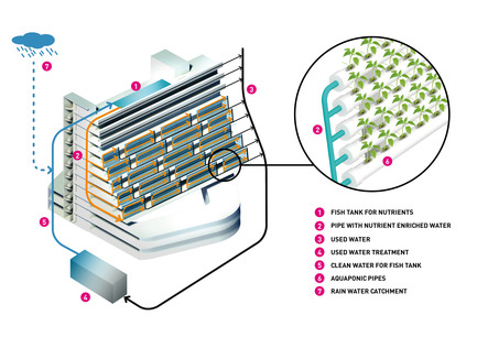 Homefarm Press kit | 1978-01 - Press release | Homefarm - SPARK - Residential Architecture - Water Cycle - Photo credit: SPARK
