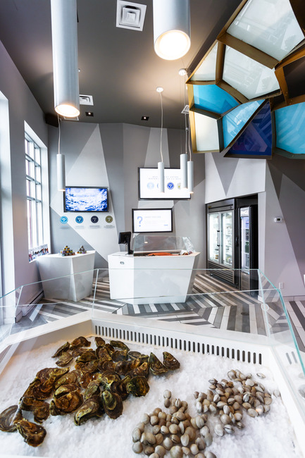 Press kit | 760-10 - Press release | Reinventing a walk on the bottom of the sea - Jean de Lessard, Designers Créatifs - Commercial Interior Design - Glass case details - Photo credit: Imagicom, Francois Laliberté