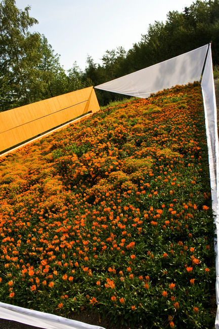 Press kit | 837-10 - Press release | The 16th International Garden Festival at Les Jardins de Métis / Reford Gardens will BUZZ in 2015! - International Garden Festival / Reford Gardens - Landscape Architecture -   <p style="">        </p>SECRET ORANGE<p style=""> </p>by Nomad Studio [William E. Roberts, Laura Santin]<br> New York, United States<br>   - Photo credit: Marjelaine Sylvestre