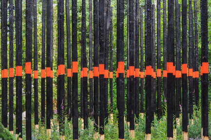 Press kit | 837-08 - Press release | The Gardens of the 15th International Garden Festival seduce visitors - International Garden Festival / Reford Gardens - Event + Exhibition - AFTERBURN by Civilian Projects [Ksenia Kagner, Nicko Elliott]<br>Brooklyn, New York, United States - Photo credit: Louise Tanguay