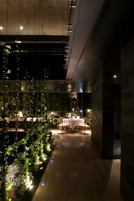 OCA Restaurant Press kit | 815-01 - Press release | OCA Restaurant - Entasis Architects - Commercial Architecture - Photo credit: Jaime Navarro
