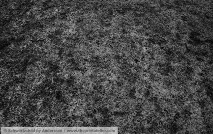 Press kit | 877-02 - Press release | The Print AtelierThe Next Generation Art Gallery - Maude Arsenault - Art - Schwartzchildby Anderssonwww.theprintatelier.com Ces photos sont strictement réservées à la vente et sont utilisables par les médias uniquement pour une publication d’article sur The Print Atelier./These photos are strictly reserved for sales and are available to media only for articles about The Print Atelier.