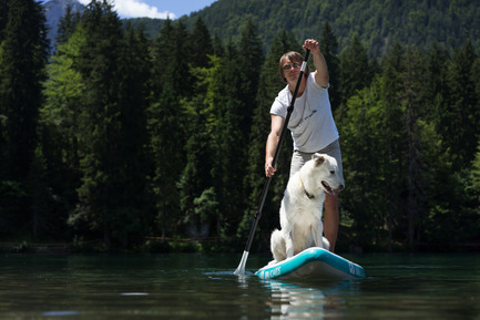 Press kit | 1857-01 - Press release | SipaBoards Bring Fresh Air To Paddleboarding - SipaBoards - Product - Dogs love it too  - Photo credit: Uros Podlogar