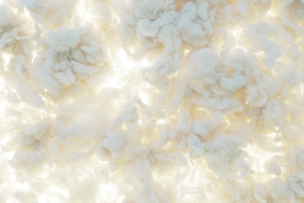 Press kit | 701-11 - Press release | GERARD MOLINÉ presents his first art exhibition in Barcelona - Musée d'art contemporain de Montréal (MAC) - Event + Exhibition - Photo credit: Gerard Moline