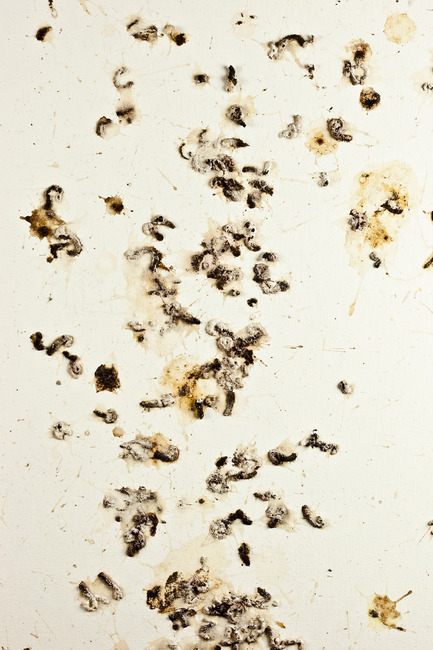 Press kit | 701-11 - Press release | GERARD MOLINÉ presents his first art exhibition in Barcelona - Musée d'art contemporain de Montréal (MAC) - Event + Exhibition - Photo credit: Gerard Moline