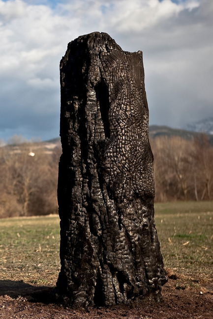 Press kit | 701-11 - Press release | GERARD MOLINÉ presents his first art exhibition in Barcelona - Musée d'art contemporain de Montréal (MAC) - Event + Exhibition - Photo credit: Gerard Moline