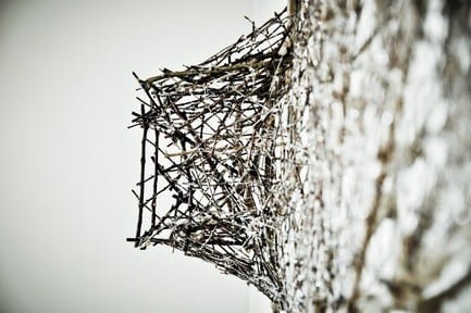 Press kit - Press release - From branch to branch - Danielle Carignan