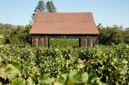 Press kit | 3353-01 - Press release | WDA Honoredwith Merit Award byAIA San Francisco - WDA (William Duff Architects) - Residential Architecture -     WDA (William Duff Architects) transformed a century-old hay barn in a provocative way by inserting a pair of modern, glass cubes seen here reflecting the surrounding lush vineyards of its California wine country setting.    - Photo credit: Matthew Millman Photography