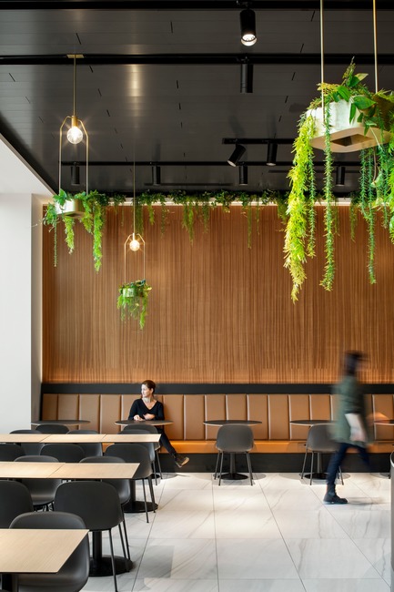 “La Cuisine”: Rockland Center’s Culinary Experience Press kit | 1081-06 - Press release |