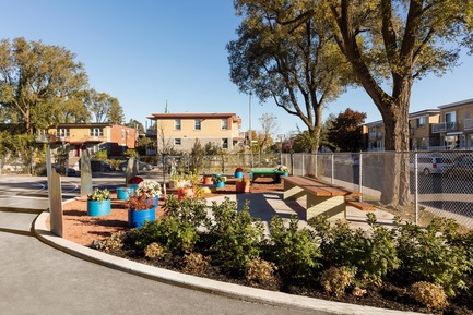 Press kit | 1299-03 - Press release | École Sainte-Anne - A new redesigned schoolyard - Taktik design - Institutional Architecture - Garden & plants area - Photo credit: Maxime Brouillet