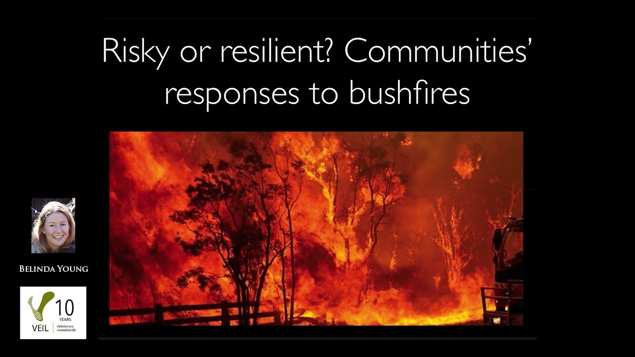 Risky Or Resilient? Communities’ Responses To Bushfires - Dezign Ark