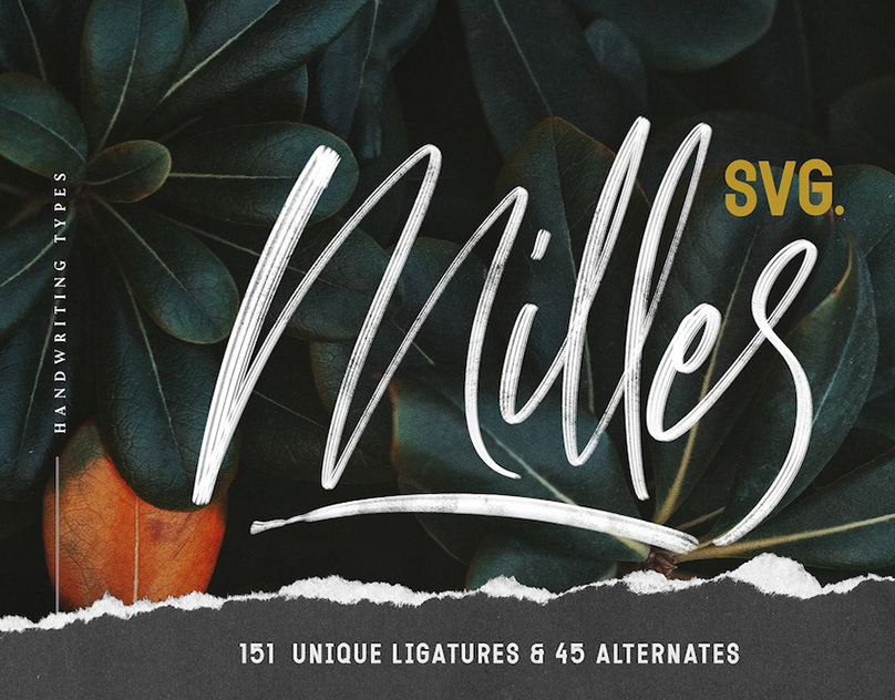 MILLES - FREE SCRIPT FONT - Dezign Ark