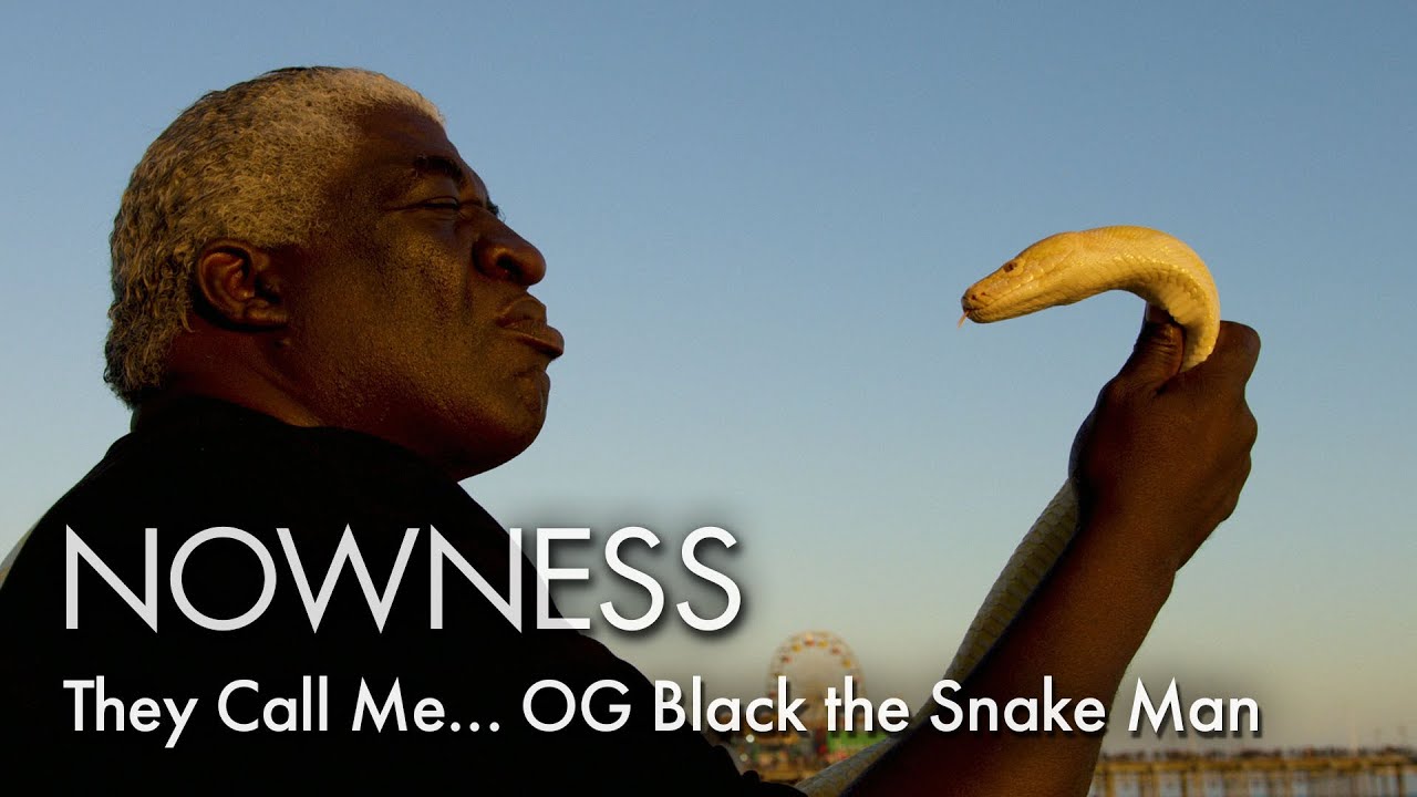 Meet Hollywood Boulevard's infamous python man - Dezign Ark