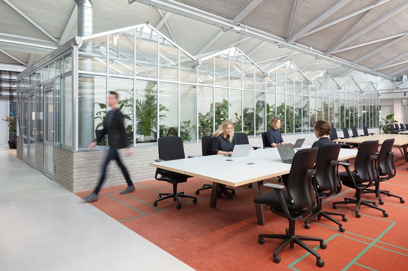 Press kit | 4695-01 - Press release | Sustainable transformed office The Core wins two Frame Awards - Large Office of the Year - CBRE Netherlands - Commercial Interior Design - Workspace - Long tables facilitate working together in project teams. The greenhouses in the back are used as meeting rooms. - Photo credit: Stijnstijl Photography