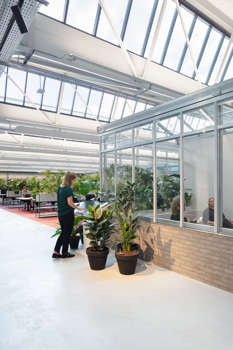 Press kit | 4695-01 - Press release | Sustainable transformed office The Core wins two Frame Awards - Large Office of the Year - CBRE Netherlands - Commercial Interior Design - Workspace – The authentic car garage roof allows northern light to shed on the workplaces. On the right: greenhouse meeting room. - Photo credit: Stijnstijl Photography