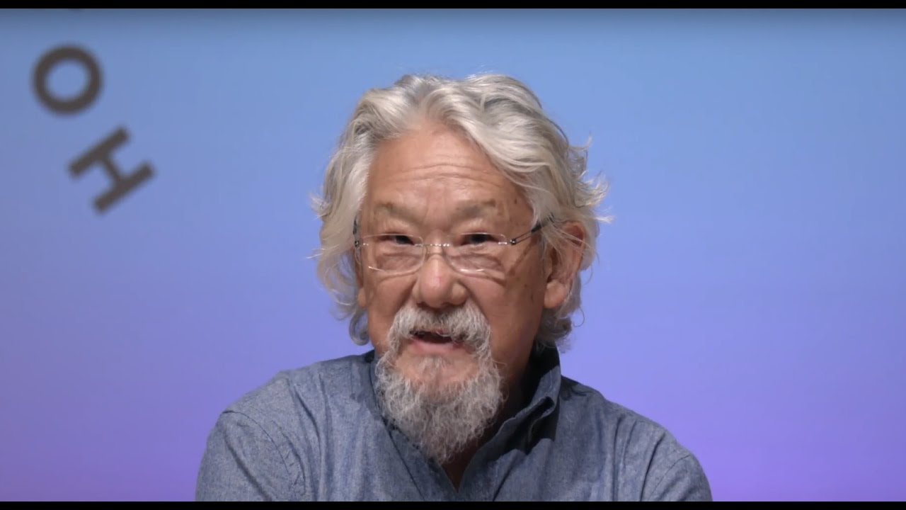 Hostile/Docile, episode 6: David Suzuki - Dezign Ark