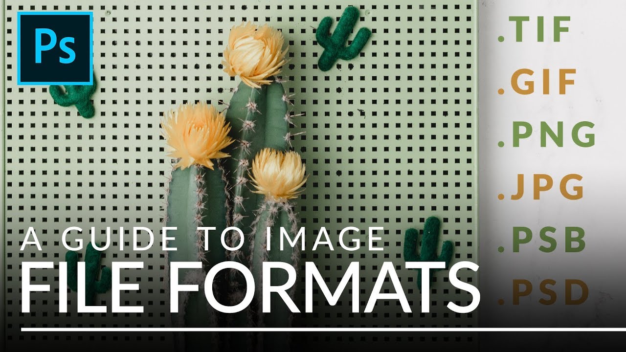 File Formats In Photoshop EXPLAINED (TIFF, GIF, PSB, & More) - Dezign Ark