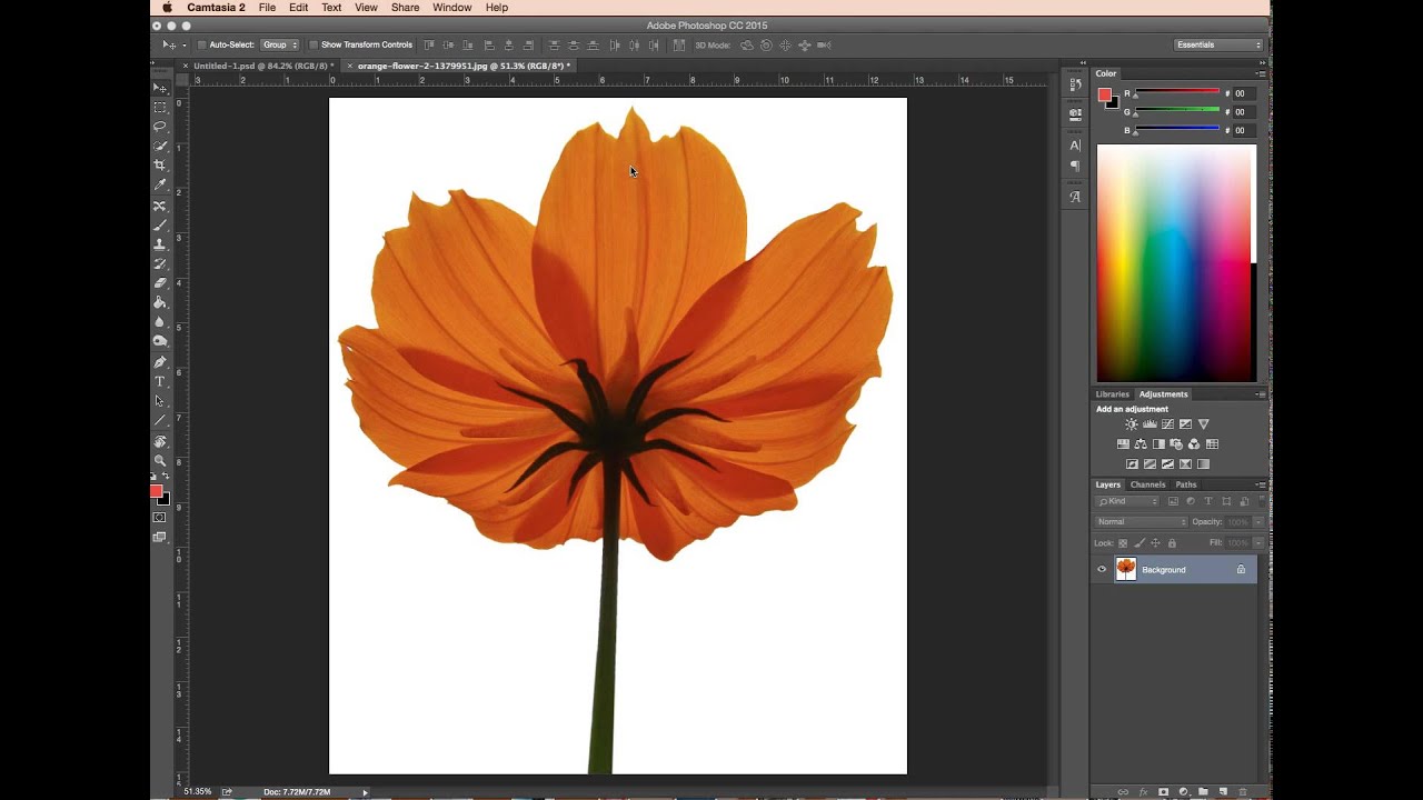 Removing white background in photoshop - Photoshop clear cutting guide ...