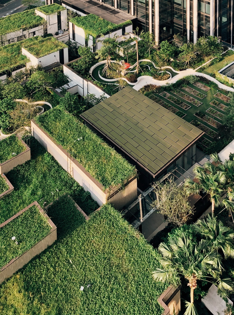 Press kit | 3772-02 - Press release | Nature Discovery Park - LAAB Architects with PLandscape and Speirs Major - Commercial Architecture - Nature Discovery Park is a rooftop conservatory in Hong Kong. - Photo credit: Otto Ng of LAAB Architects 